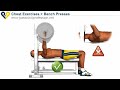 Click here to watch this video Chest Exercises: Bench Press