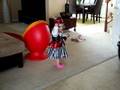 videos de piratka Anicka