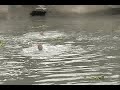 Pasig River