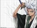 hinamaru and hitsuguya tribuit