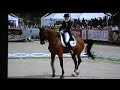 Isabell Werth - Satchmo - GP K�R - European 2007