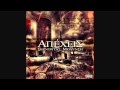 Apexeis - Kamia sxesh