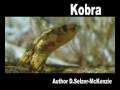 Kobra Schlange Tiere Animals Natur SelMcKenzie Selzer-McKenzie