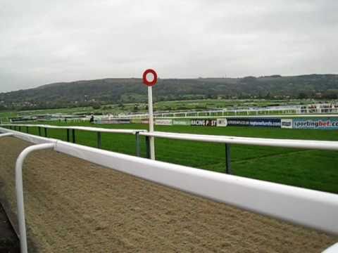 racing results cheltenham