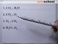 Biologys_ONET#01