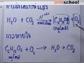 Biologys_ONET#01