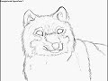 Editing Wolf- 1st Realism Attempt Editing Wolf- 1st Realism Attempt