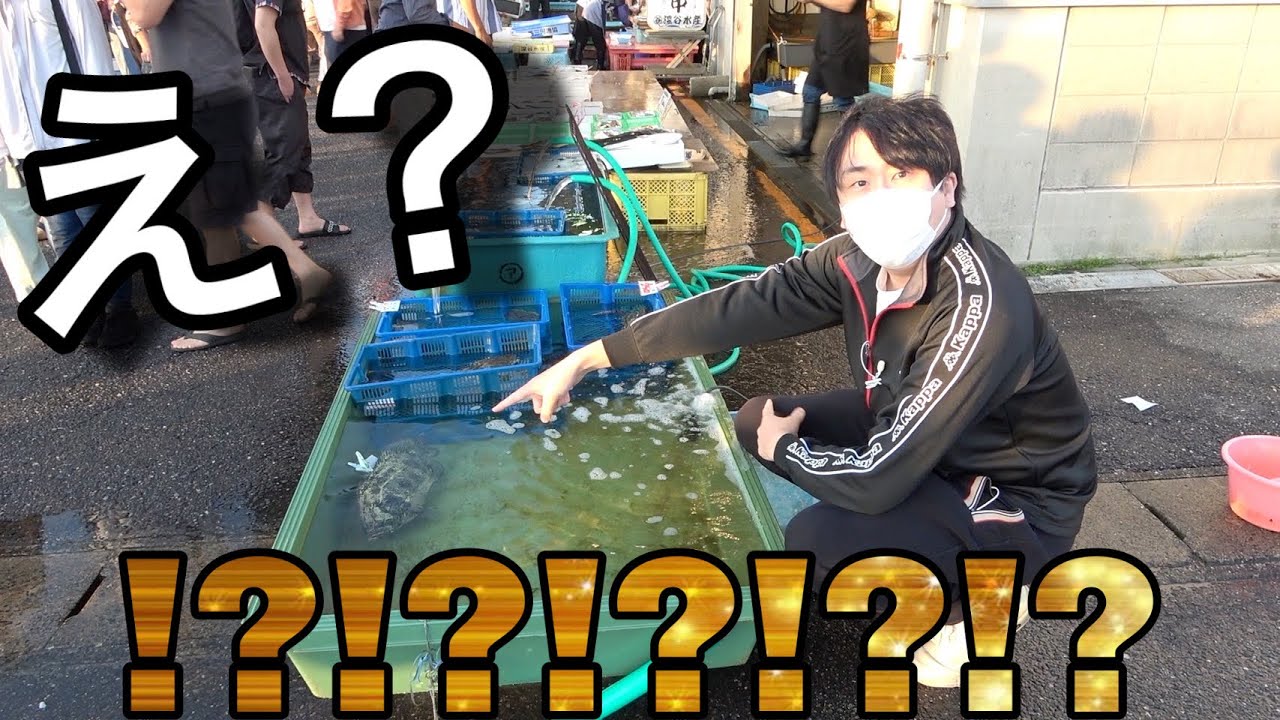 動画2