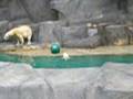 Hudson makes a splash