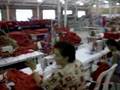 COOPERATIVA RIVOLUZIONARIA CHAVISTA