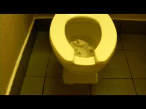 how to unclog a crane toilet