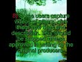 Build Bridges: Excellent Standards for Islamic Videos
