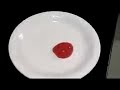 Molecular-Gastronomy