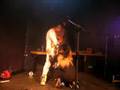 PUNK BUNNY @ TÉLÉFÉRIQUE 4