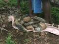 videos de Haiti - Day #1