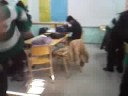 Alta batucada