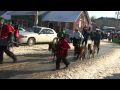 Holstein Non-Motorized Santa Claus Parade 2009