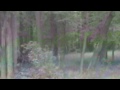 Click here to watch this video da big foot is real