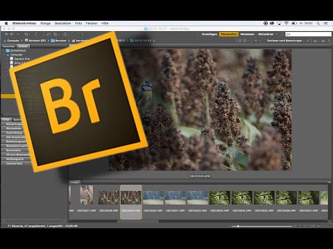 Adobe Bridge - kurz und knapp