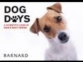title="Dog