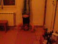 zita freestyle