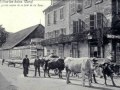 Salins les bains, Chapois,Andelot en montagne, Clucy sur salins (39)