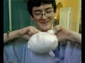 dead bunny part 1