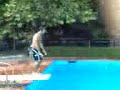 tuffo massimo tuffo massimo