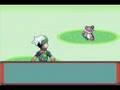 videos de Pokemon Online Revoltion