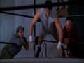 rocky 1 tribute