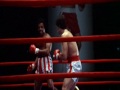 rocky 1 tribute