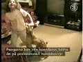 dog and girl
