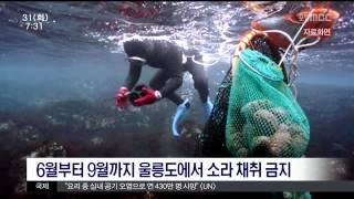 뉴스투데이