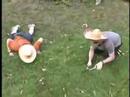 Grass Grass