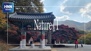 문수사, 가을을 입다