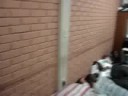 A.E.F Resenha em Minas Gerais (A hora de dormir)