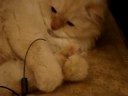 Pucci hugging his foot Pucci hugging his foot