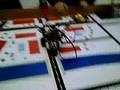 colegio dourado - fll