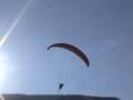 parapente acro