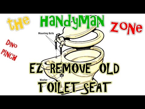 how to remove toilet seat