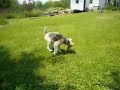 maggie finds a spot