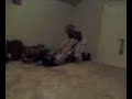 Ashley and Carmen wrestling Part 2
