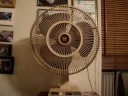 15\" Lakewood Desk Fan