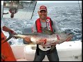Andreas Toy Charters - Tuna, Mahi & Tilefish at NJ Offshore Hudson Canyon Andreas Toy Charters - Tuna, Mahi & Tilefish at NJ Offshore Hudson Canyon