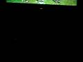 videos de brooke beating laurens little brother in madden.