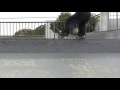 - Skate - 564clothink