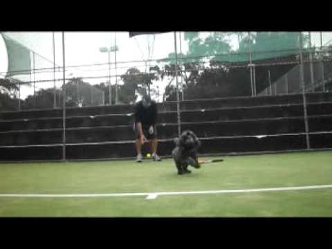Anyone can play tennis! - Shanelle Dervish