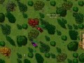 Tibia Bright Sword Quest 1 de 5
