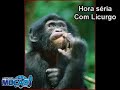 Mucao.com.br - Hora S�ria com Licurgo - Pensa R�pido