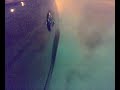 gumbe EL burnout
